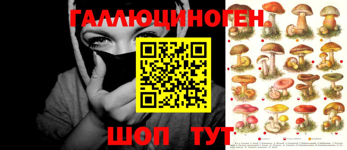 Псилоцибиновые грибы мухоморы Ахтубинск