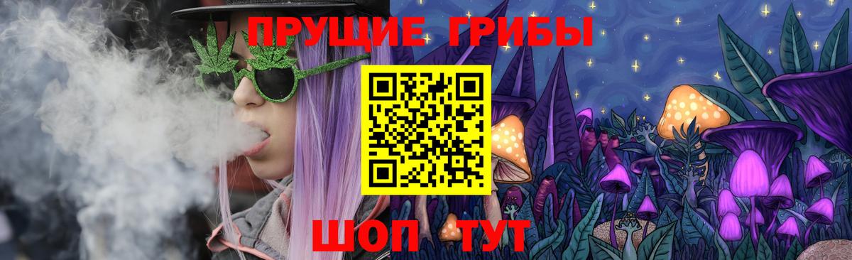 Псилоцибиновые грибы мицелий  где найти наркотики  Ахтубинск  Галлюциногенные грибы ЛСД  Вход с VPN 